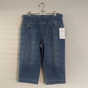 Gloria Vanderbilt Amanda Capri Slimming NWT 10